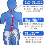 骨盤の歪み　